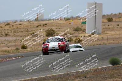 media/May-03-2025-Lucky Dog Racing (Sat) [[206de64b9d]]/Turn 6 (150pm-230pm)/